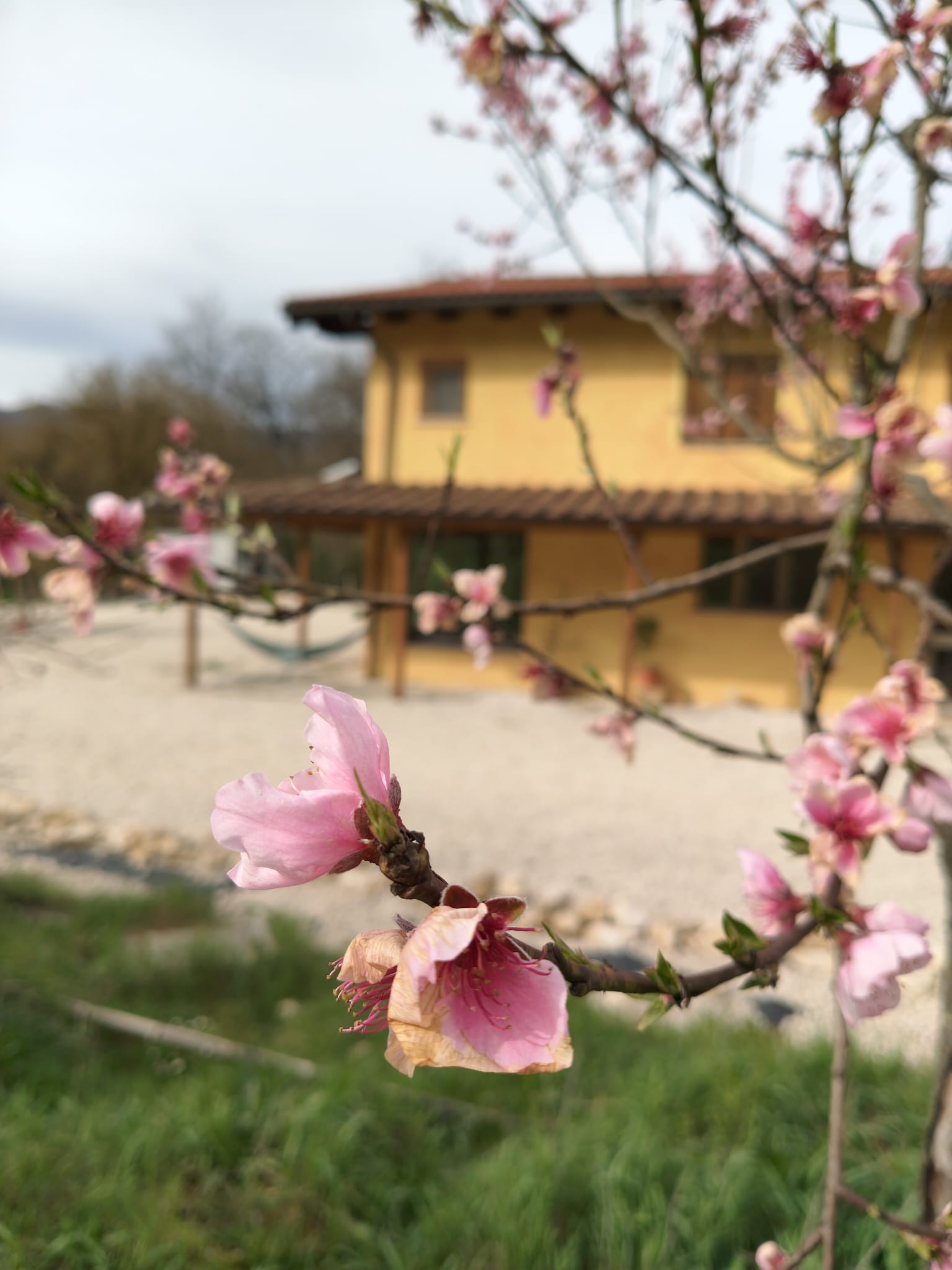 Struttura ricettiva Il Bosco Magico ad Arsoli, nel Lazio